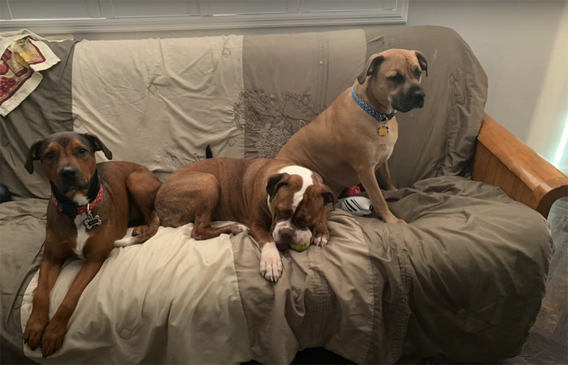 Photo from MayMay’s Ranch