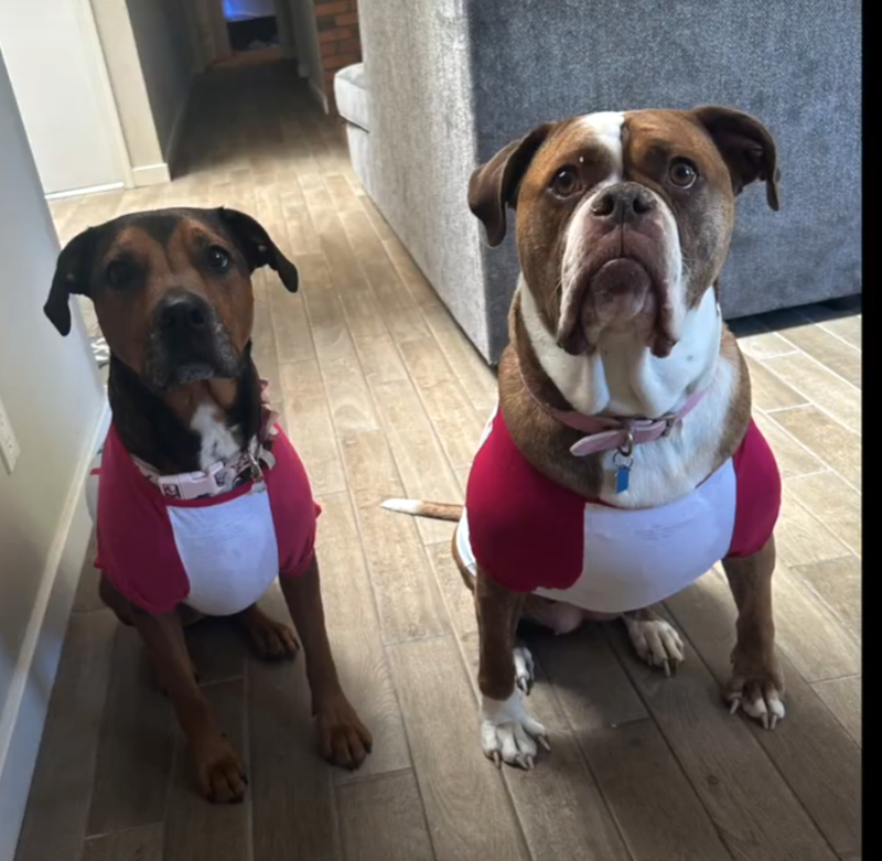 Photo from MayMay’s Ranch